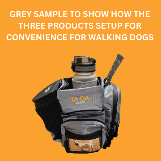 TA-DA DOG WALKING CONVENIENCE