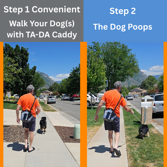 TA-DA DOG WALKING CONVENIENCE