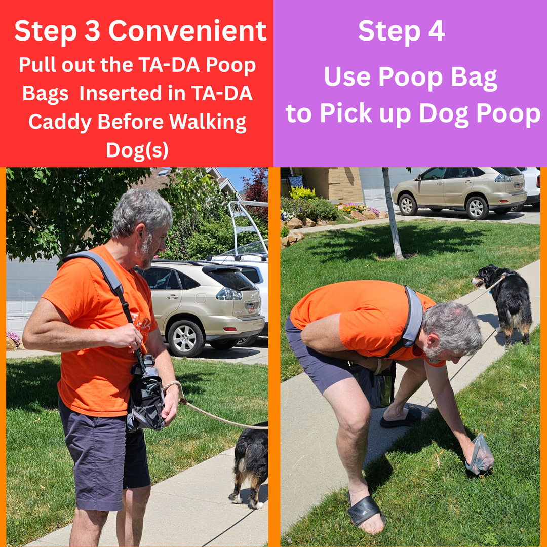 TA-DA DOG WALKING CONVENIENCE