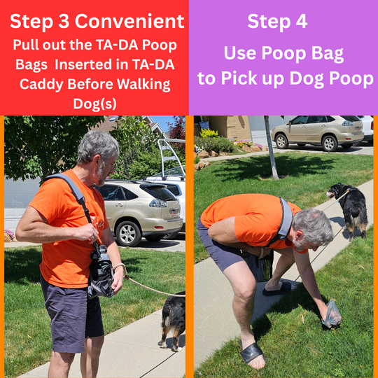 TA-DA DOG WALKING CONVENIENCE