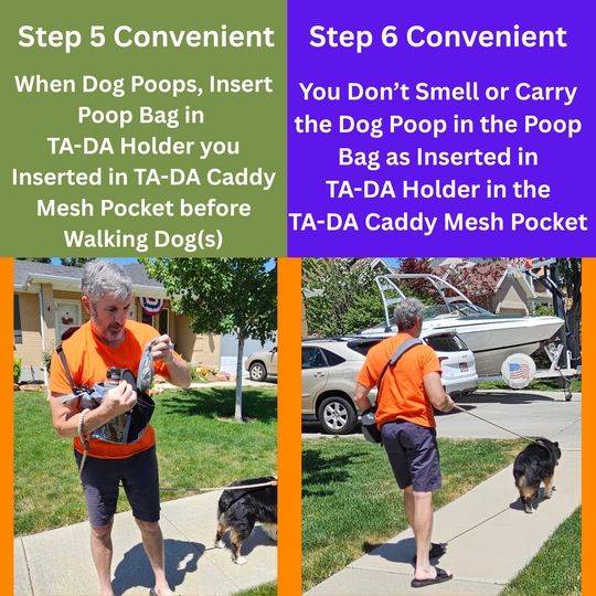 TA-DA DOG WALKING CONVENIENCE
