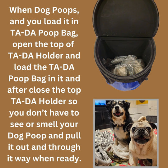 TA-DA DOG WALKING CONVENIENCE