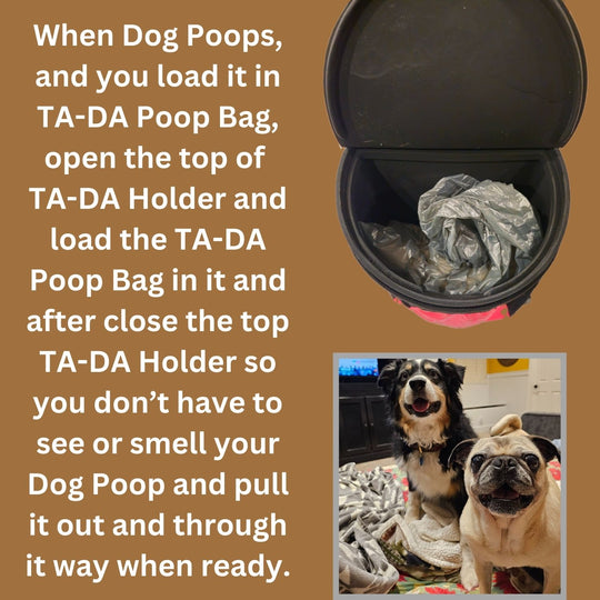 TA-DA DOG WALKING CONVENIENCE