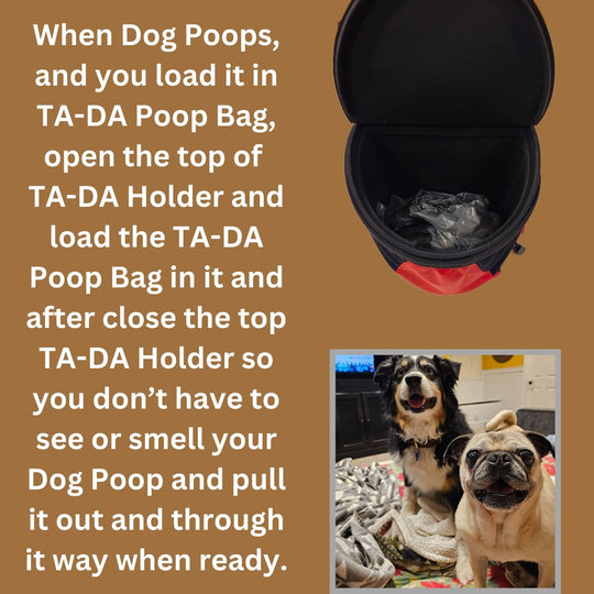 TA-DA DOG WALKING CONVENIENCE