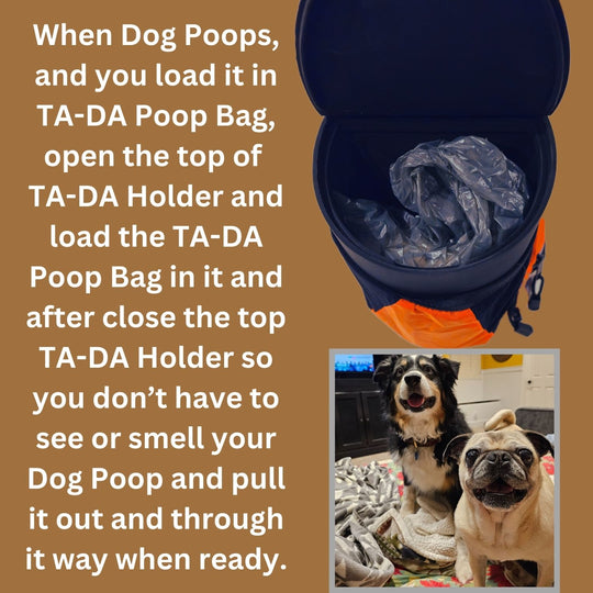 TA-DA DOG WALKING CONVENIENCE