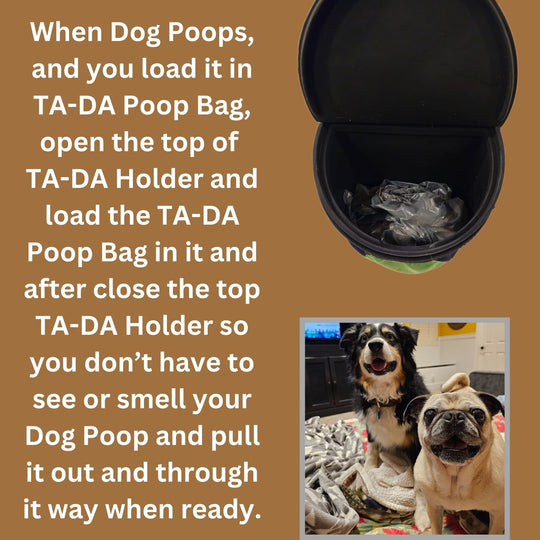 TA-DA DOG WALKING CONVENIENCE