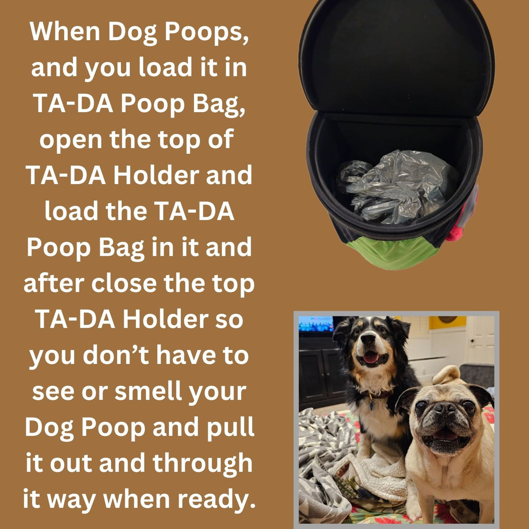 TA-DA DOG WALKING CONVENIENCE