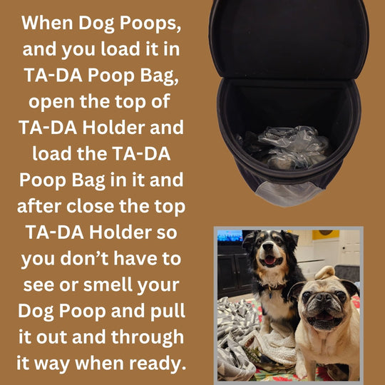 TA-DA DOG WALKING CONVENIENCE