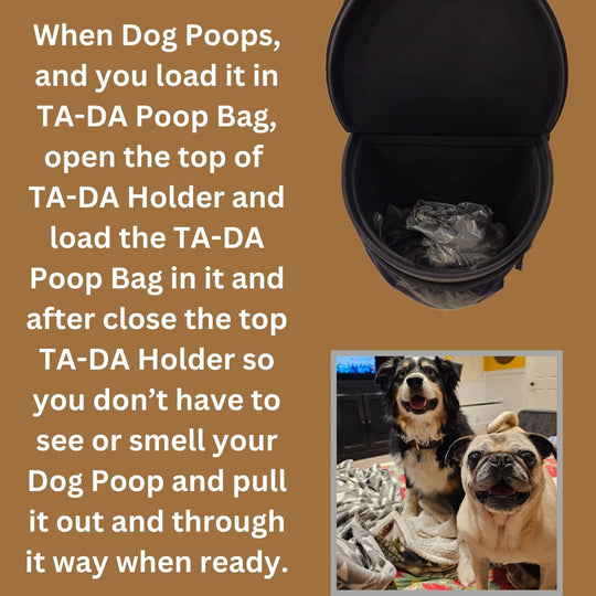 TA-DA DOG WALKING CONVENIENCE