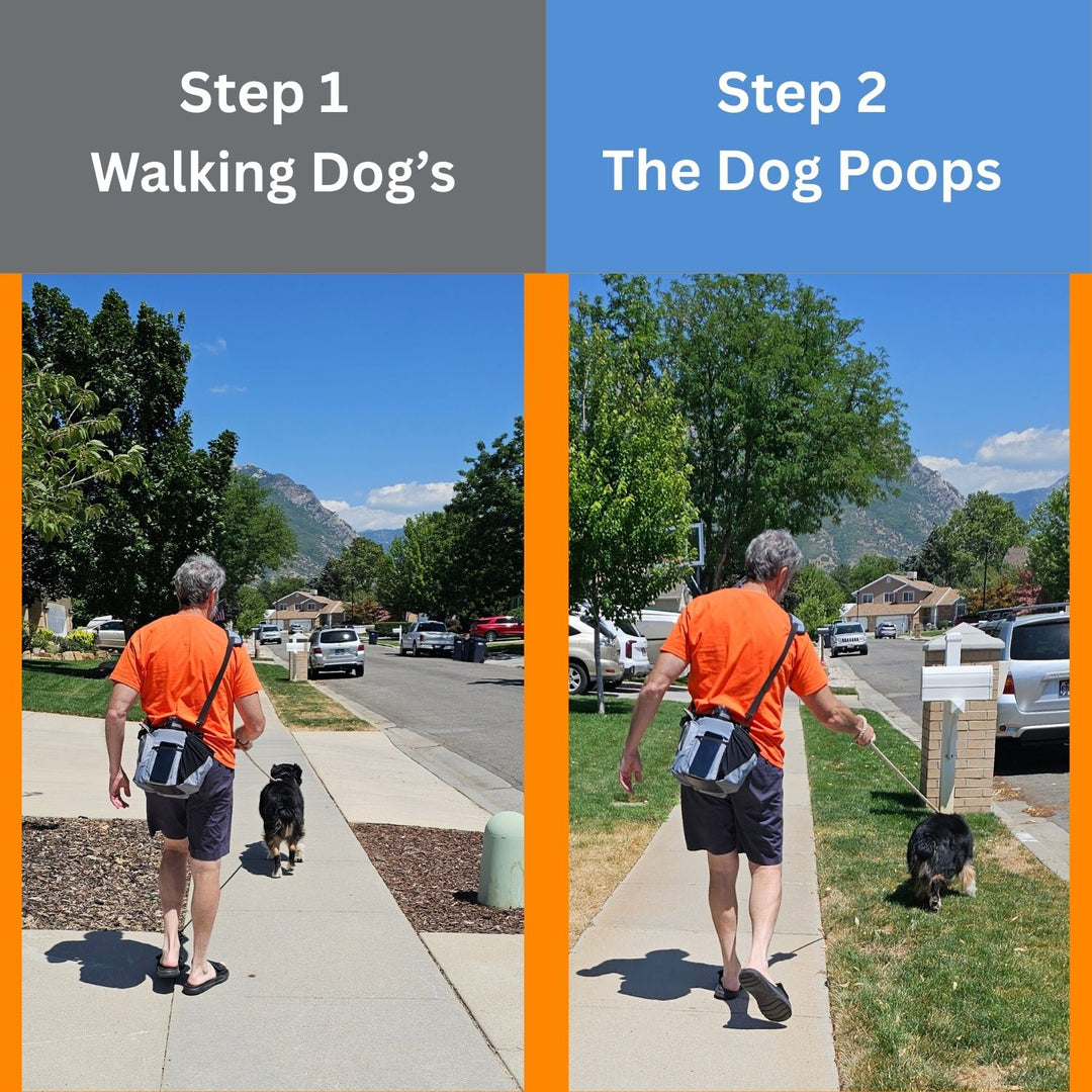 TA-DA DOG WALKING CONVENIENCE