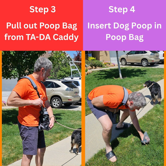 TA-DA DOG WALKING CONVENIENCE